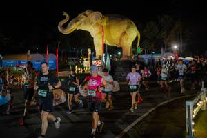 BIB: 
                            <button type="button" onclick="openModal(26552301)" class="btn btn-primary btn-sm float-right btn-popup" data-toggle="modal" data-target=".modal-high-quality">
                        <i class="fas fa-shopping-cart"></i> Add to Cart
                    </button>
                                            <button type="button" onclick="isThisMe(26552301, true)" class="btn btn-success btn-sm float-right btn-popup btn-isme hidden" data-toggle="tooltip" data-placement="bottom" title="นี่คือรูปของคุณใช่ไหม คลิกที่นี่เพื่อเอาเข้าอัลบั้ม">
                        <i class="fas fa-plus"></i> Add to album
                    </button>
                    <button type="button" onclick="isThisMe(26552301, false)" class="btn btn-warning btn-sm float-right btn-popup btn-isnotme hidden">
                        <i class="fas fa-ban"></i> Remove from album
                    </button>